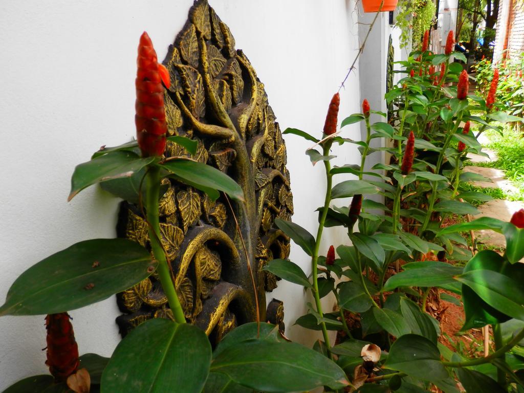 Hak Boutique Residence Siem Reap Zewnętrze zdjęcie
